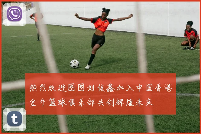 热烈欢迎图图刘佳鑫加入中国香港金牛篮球俱乐部共创辉煌未来