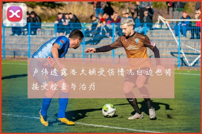 卢伟透露洛夫顿受伤情况白边也将接受检查与治疗